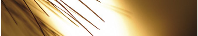 Acupuntura